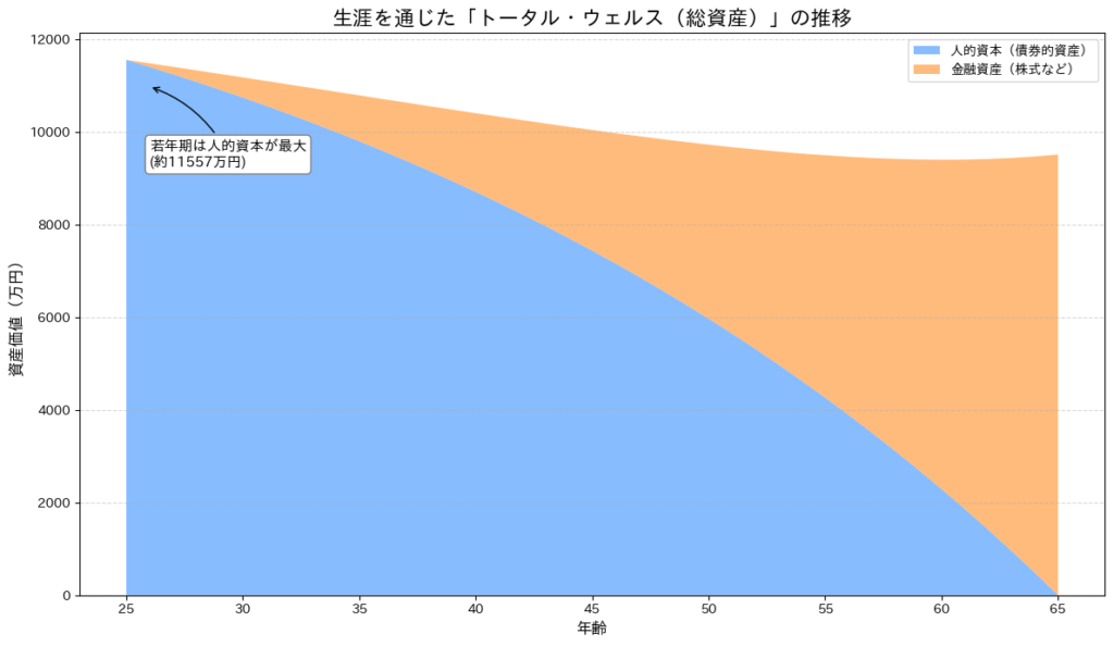 「生涯を通じたトータル・ウェルス（総資産）の推移」を示す積み上げグラフ。横軸は年齢（25歳〜65歳）、縦軸は資産価値。青色の「人的資本（債券的資産）」は25歳時点で最大（約1億1千万円）で、加齢とともに減少していく。一方、オレンジ色の「金融資産（株式など）」は0から始まり、加齢とともに右肩上がりに増えていく。若いうちは資産の大半が人的資本であることを示している。